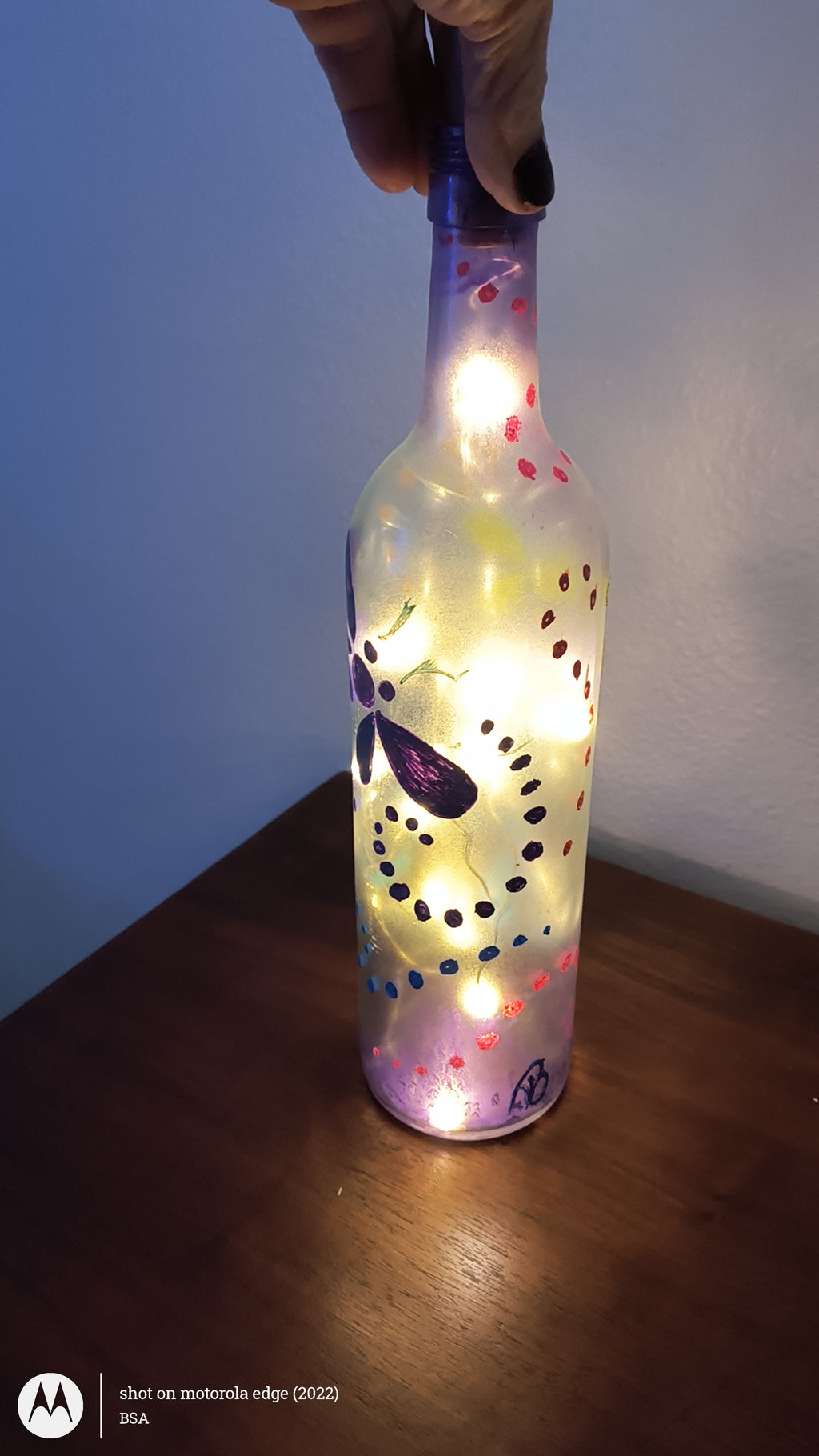 Dragonfly lights