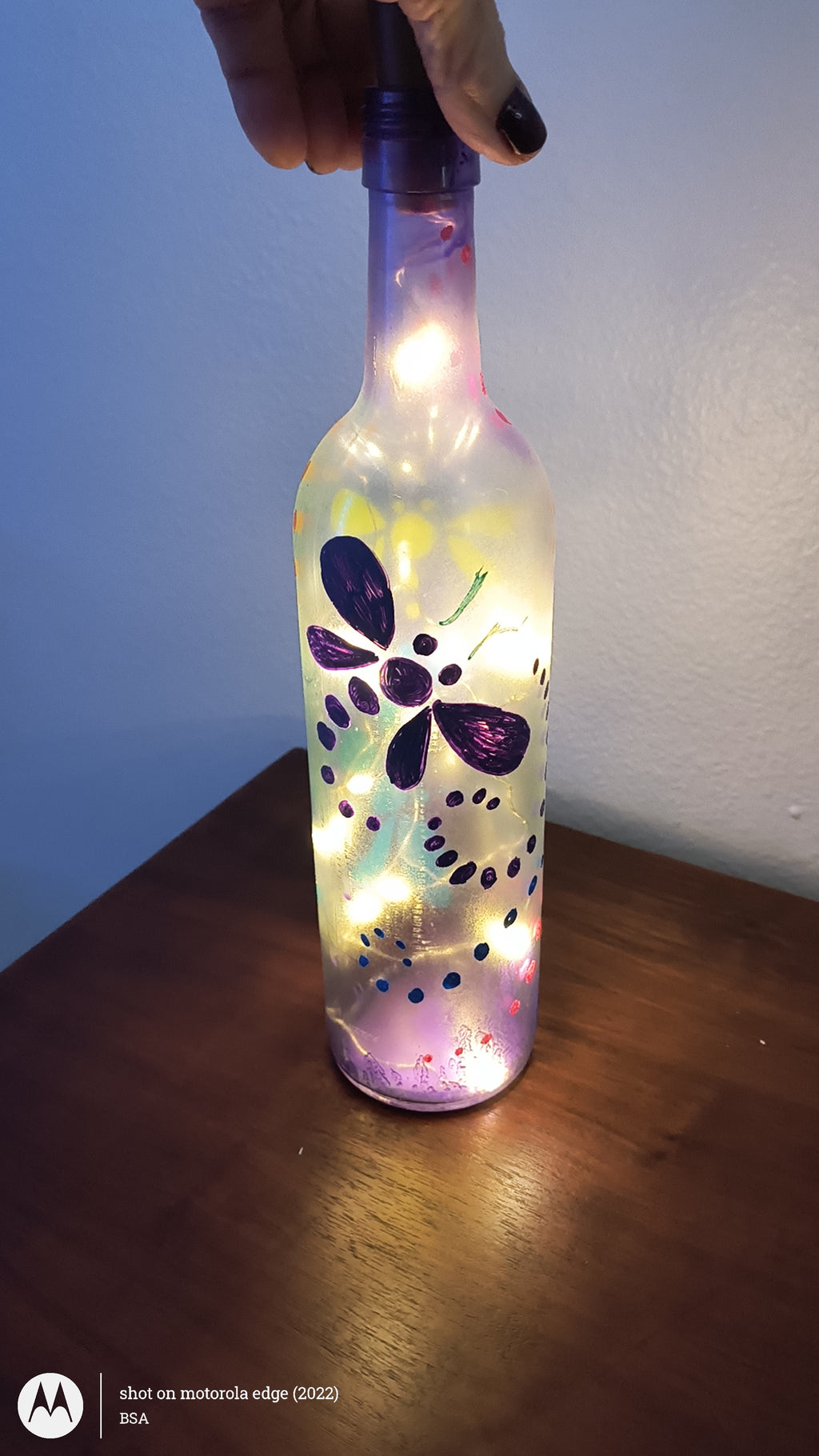 Dragonfly lights