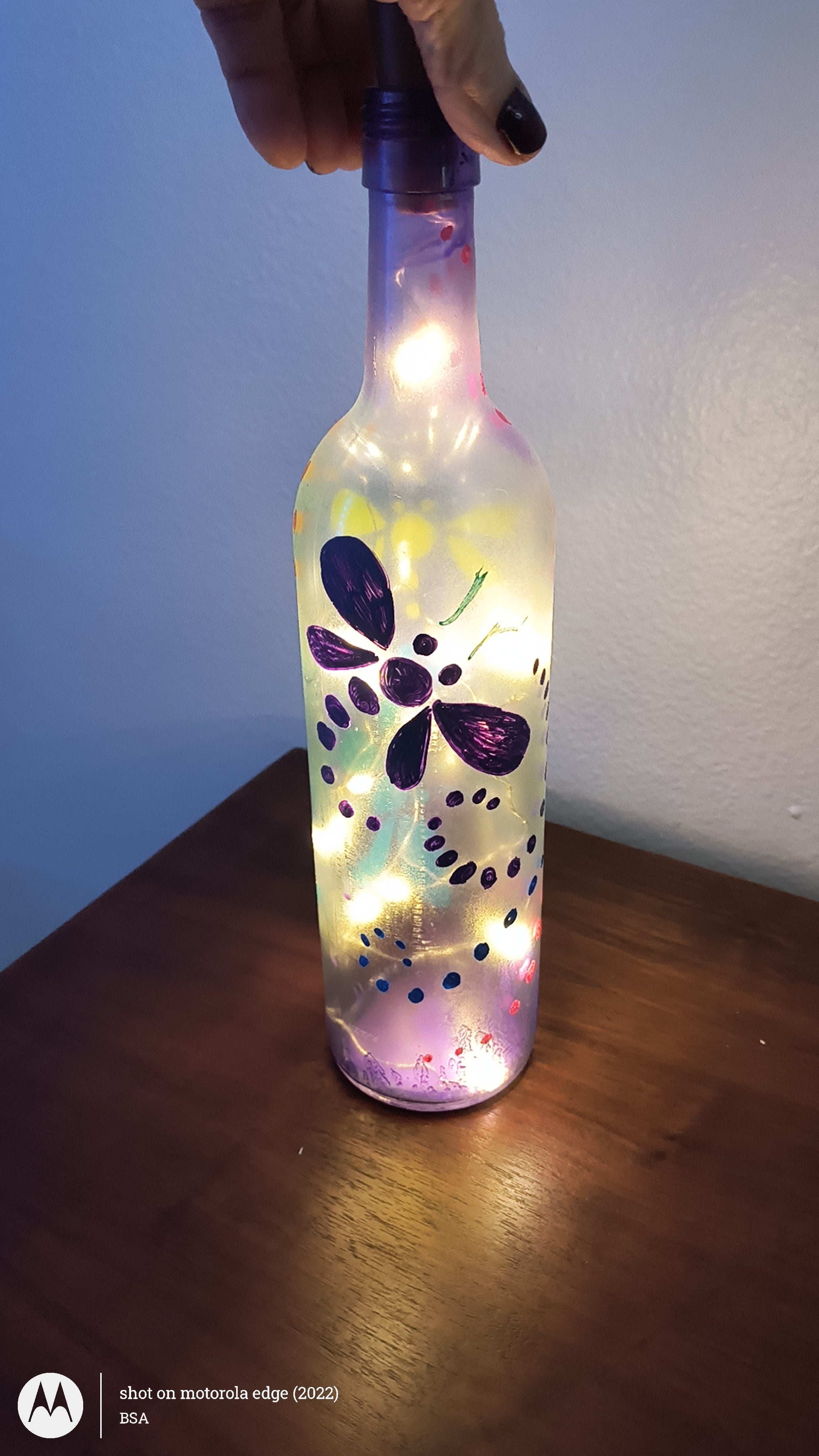 Dragonfly lights