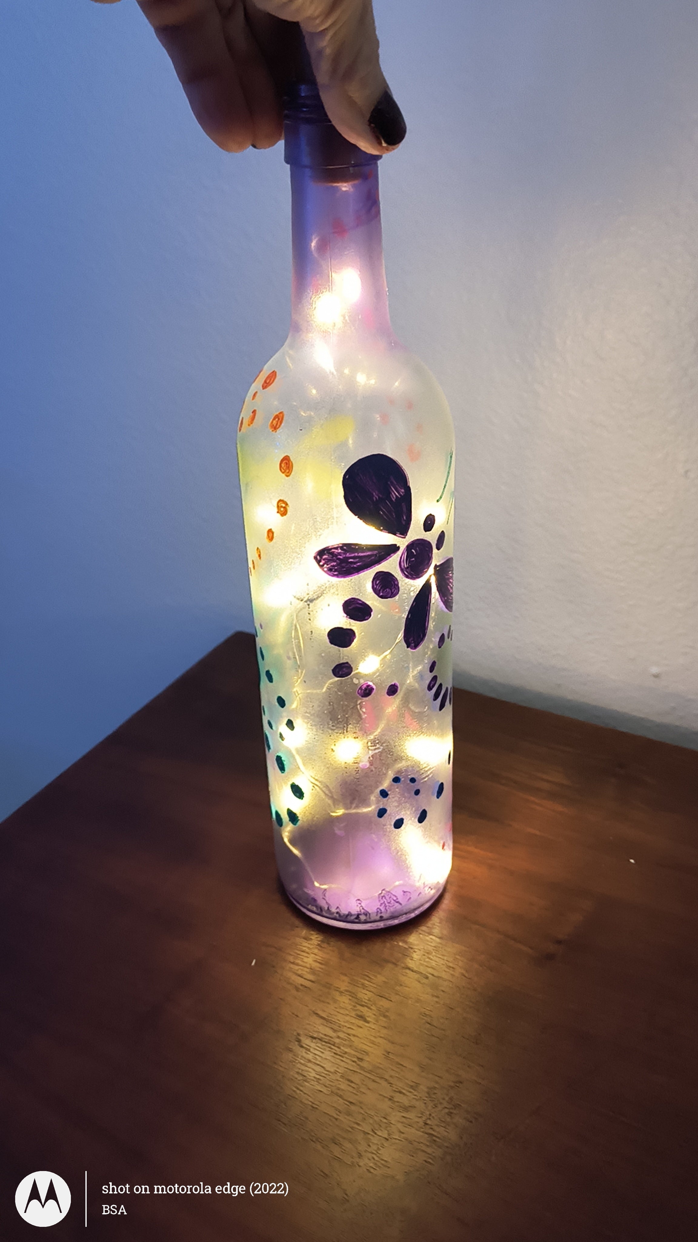 Dragonfly lights